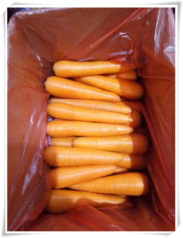 Organic carrot